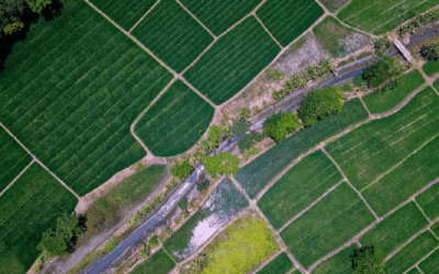 Crecer tu inversión en lotes de terreno: 3 formas para hacerlo